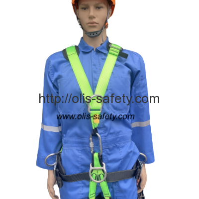Harness